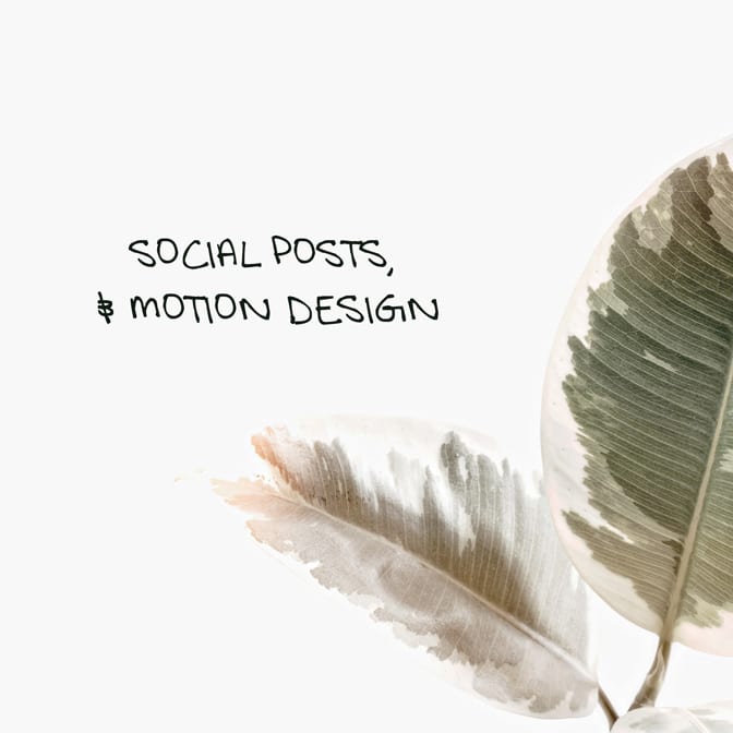 Social Posts and Motion Design Soraya ouzara Digital Designer - Developer - Animator - freelancer